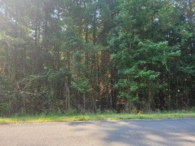 Smith Lake/Beautiful Lot in Upscale Subdivision - Ready for Your - photo 3