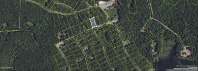 Lake Lot For Sale in Hawley, Pennsylvania