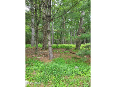 (private lake, pond, creek) Lot For Sale in Dingmans Ferry Pennsylvania