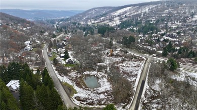 (private lake, pond, creek) Lot For Sale in Ellicottville New York