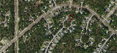 Build your dream home on this beautiful .28-acre homesite - photo 2