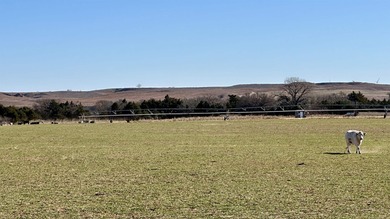 Lake Acreage For Sale in Taloga, Oklahoma