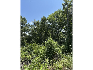 Deer Run Lake- Van Buren County Lot For Sale in Van Buren Missouri