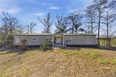 Tsala Apopka Chain of Lakes Home For Sale in Floral City Florida