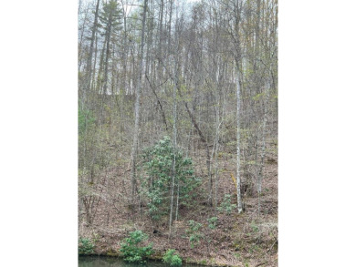 Come build your dream home on this high Elevation lot in - Lake Lot For Sale in Topton, North Carolina