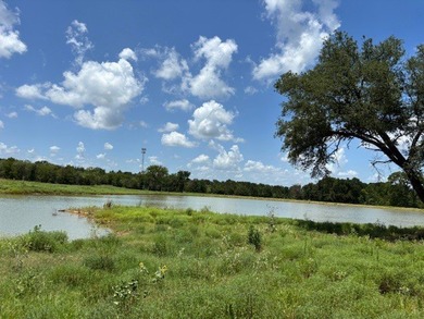 Rare find in the city limits of Wortham TX! - 47.78 spectacular - photo 11