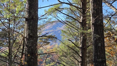 (private lake, pond, creek) Acreage For Sale in Copperhill Tennessee