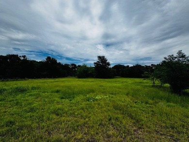 Rare find in the city limits of Wortham TX! - 47.78 spectacular - photo 12