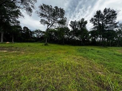 Rare find in the city limits of Wortham TX! - 47.78 spectacular - photo 13