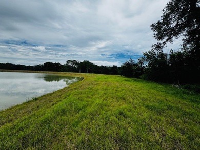 Rare find in the city limits of Wortham TX! - 47.78 spectacular - photo 14