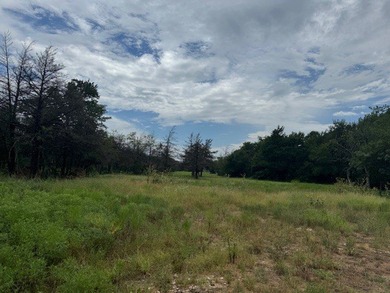 Rare find in the city limits of Wortham TX! - 47.78 spectacular - photo 15