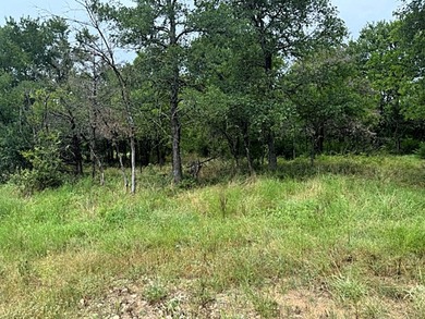 Rare find in the city limits of Wortham TX! - 47.78 spectacular - photo 16