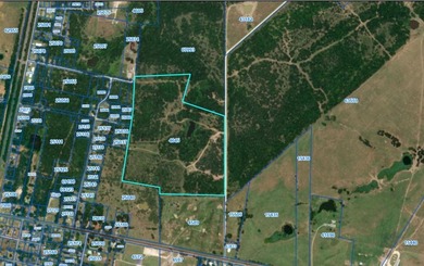 Rare find in the city limits of Wortham TX! - 47.78 spectacular - photo 17