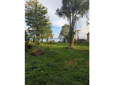 Experience lake living at its finest with this stunning new - photo 18