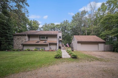 (private lake, pond, creek) Home For Sale in Horton Michigan