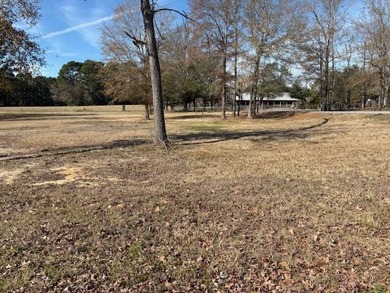 Toledo Bend Reservoir Lot For Sale in Many Louisiana