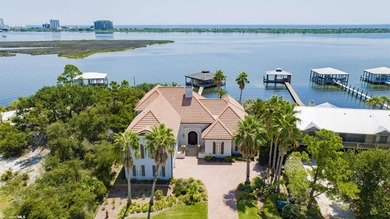 (private lake, pond, coastal) Home For Sale in Orange Beach Alabama