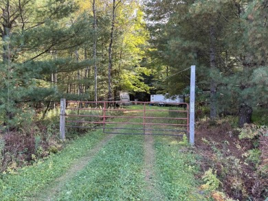 Lake Acreage Sale Pending in Branch, Michigan