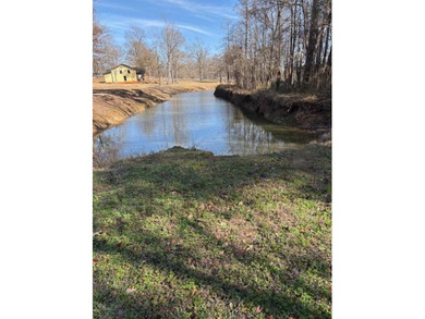 Toledo Bend Reservoir Lot For Sale in Many Louisiana
