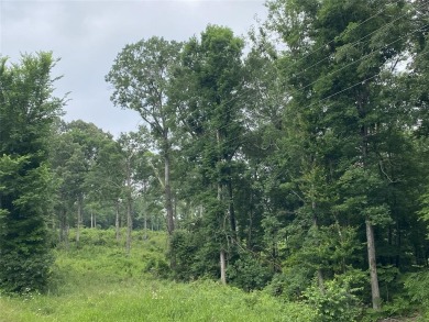 Lake Acreage For Sale in Ore City, Texas