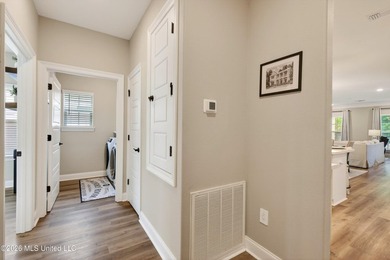 Welcome to your dream Beach Home on the beautiful Mississippi - photo 29