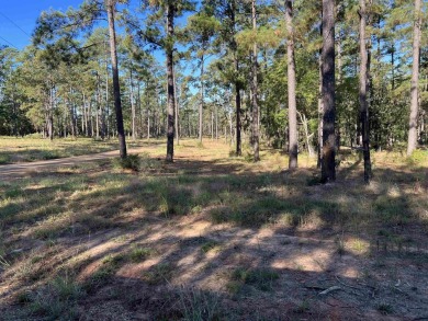 Lake Sam Rayburn  Lot For Sale in Brookeland Texas