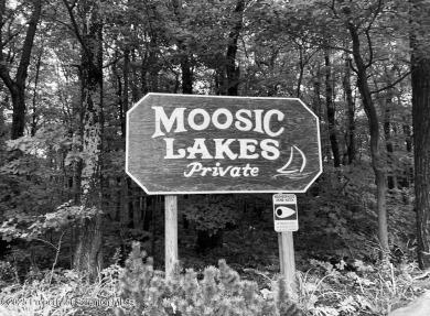 Lake Lot For Sale in Jefferson Twp, Pennsylvania