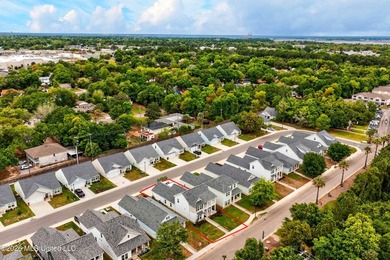 Welcome to your dream Beach Home on the beautiful Mississippi - photo 50