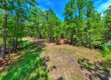 Lake Sam Rayburn  Lot For Sale in Brookeland Texas