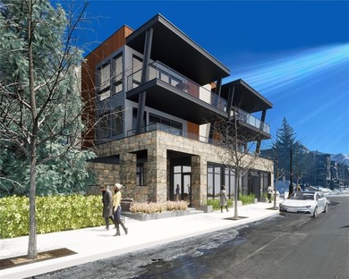 (private lake, pond, creek) Condo Sale Pending in Steamboat Springs Colorado