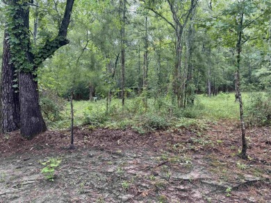 Lake Sam Rayburn  Lot For Sale in Brookeland Texas