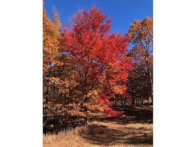 Lake George Lot For Sale in Dunlap Tennessee