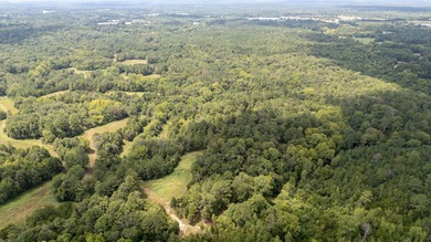 Invest Where Nature Meets Opportunity! This 56-slot RV park sits - photo 7