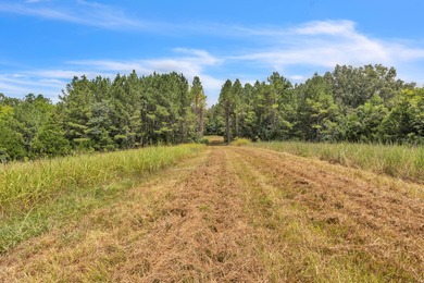 Invest Where Nature Meets Opportunity! This 56-slot RV park sits - photo 10