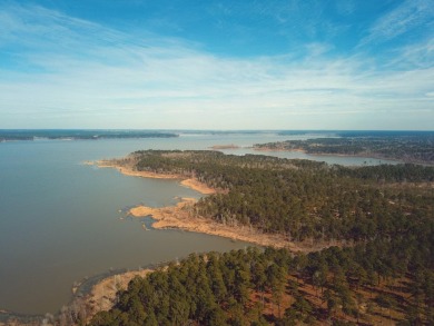 Lake Sam Rayburn  Lot For Sale in Brookeland Texas