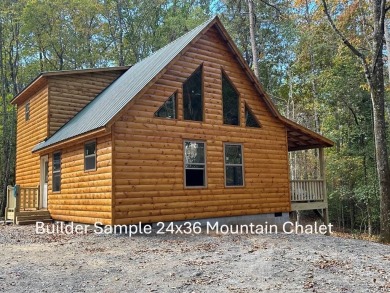 Lake Home For Sale in Murphy, North Carolina