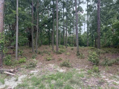 Lake Sam Rayburn  Lot For Sale in Brookeland Texas