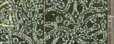 DARE TO COMPARE PRIVACY IN SUGARMILL WOODS! Imagine designing - photo 2