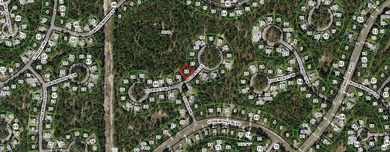 DARE TO COMPARE PRIVACY IN SUGARMILL WOODS! Imagine designing - photo 3