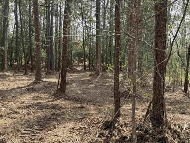 Lake Sam Rayburn  Lot For Sale in Brookeland Texas