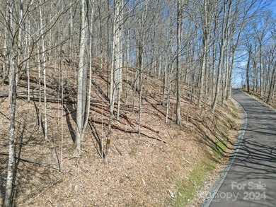 Double Lot on Chestnut Village which is a delightful street w/in - photo 11