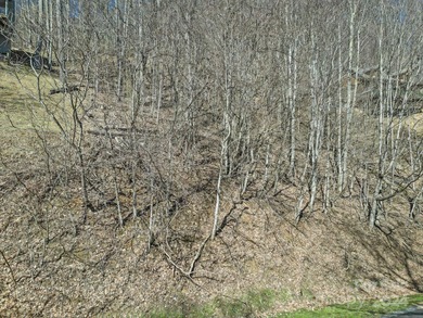 Double Lot on Chestnut Village which is a delightful street w/in - photo 15