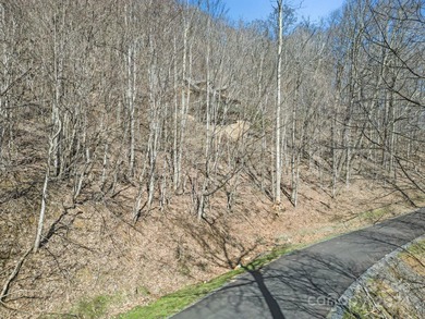Double Lot on Chestnut Village which is a delightful street w/in - photo 16