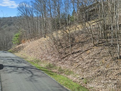 Double Lot on Chestnut Village which is a delightful street w/in - photo 17