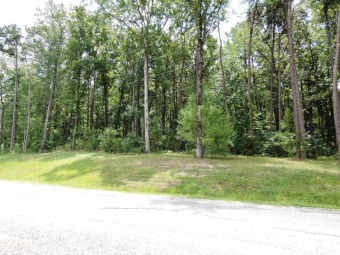 OFF WATER LOT WITH ACCESS TO LAKE! SOLD - Lake Lot SOLD! in Double Springs, Alabama