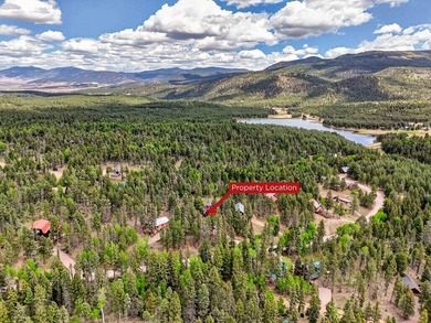 Nestled among the pines on a wooded half-acre lot near Monte - photo 47