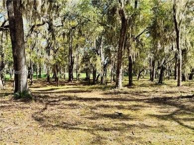A beautiful open lot with spectacular golf course views. This