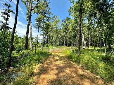 Looking for a hunting property you can shape into your own - photo 1