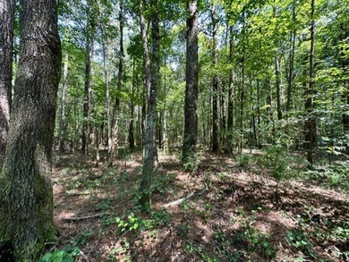 Looking for a hunting property you can shape into your own - photo 2
