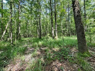 Looking for a hunting property you can shape into your own - photo 3